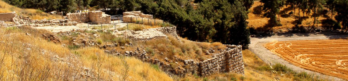 Tracing Transformations